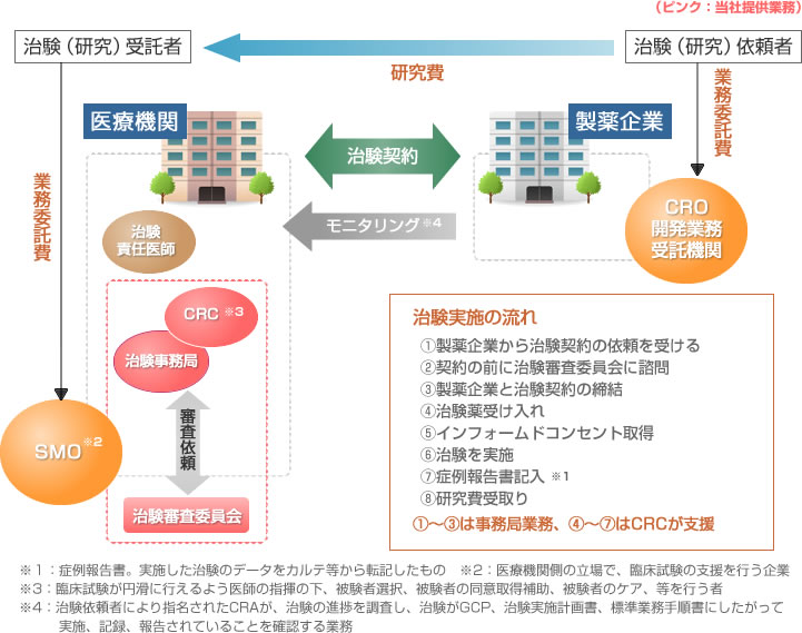 治験実施体制と委託業務